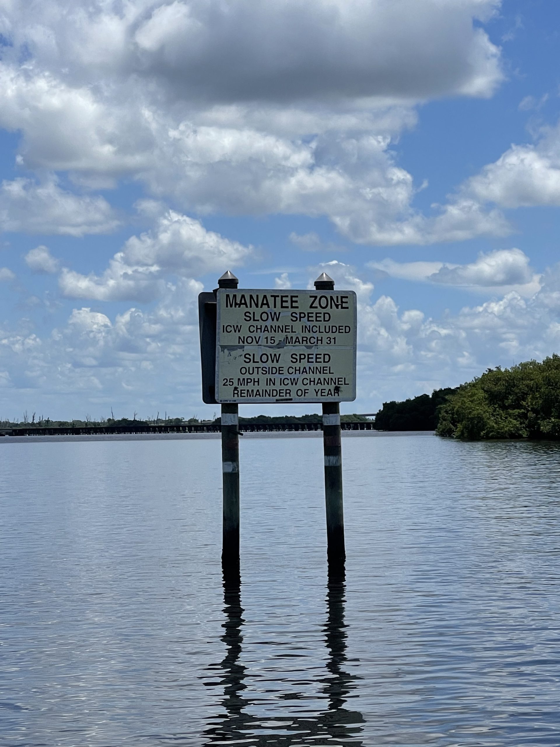 Manatee Zone | Barrier Island Excursions
